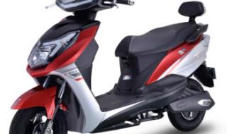 新日电动车官方 新日电动车官方