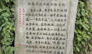 去有风的地方拍摄地 去有风的地方拍摄地