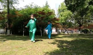 杨式太极拳85式教学 杨式太极拳85式教学