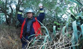 俄罗斯电影无名高地