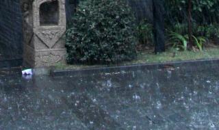 上海凌晨下冰雹了